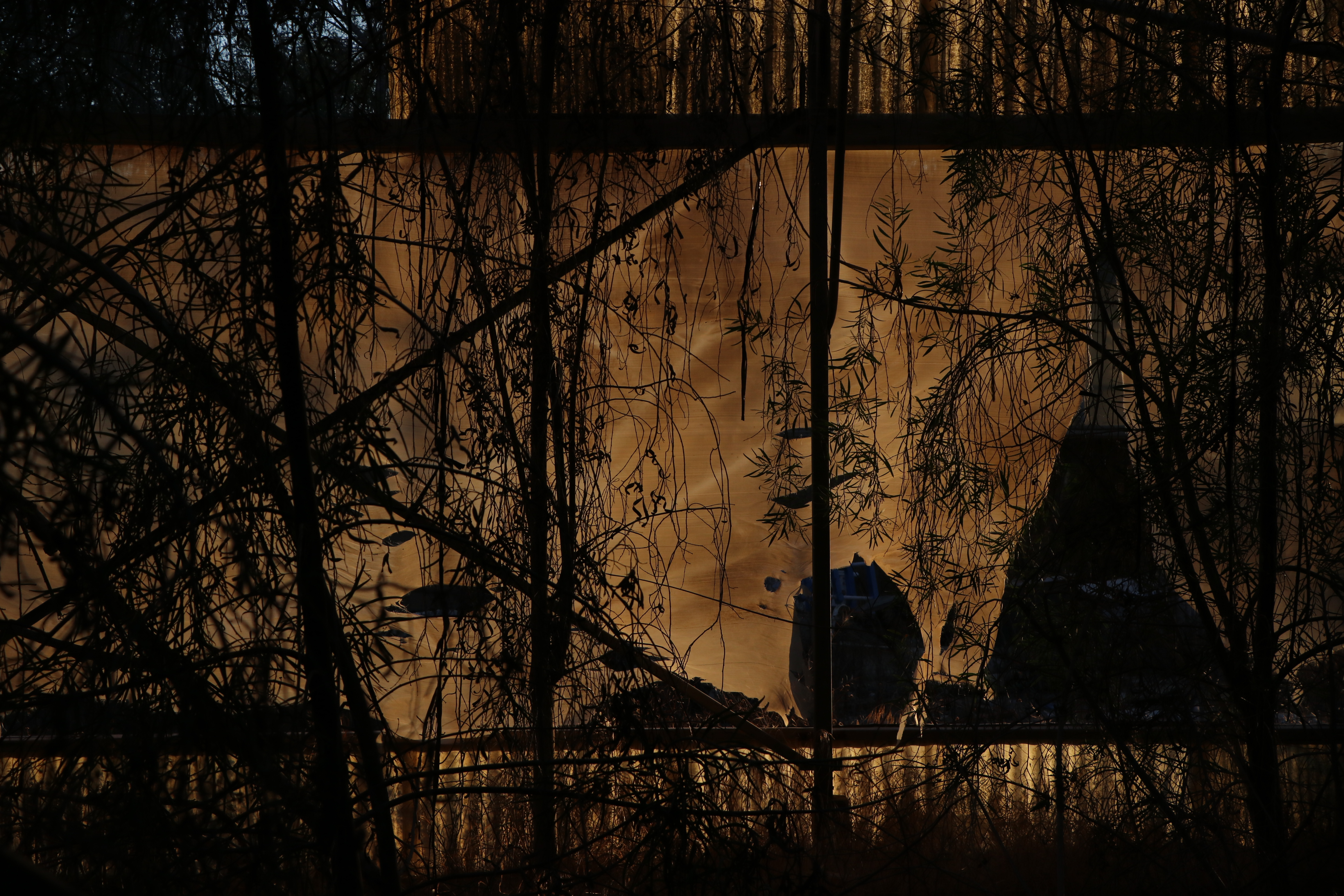 Aya Chaya Altman (Talmi Yosef), Protected Space, 2024, digital photograph printed on fine art paper, 80x120 cm