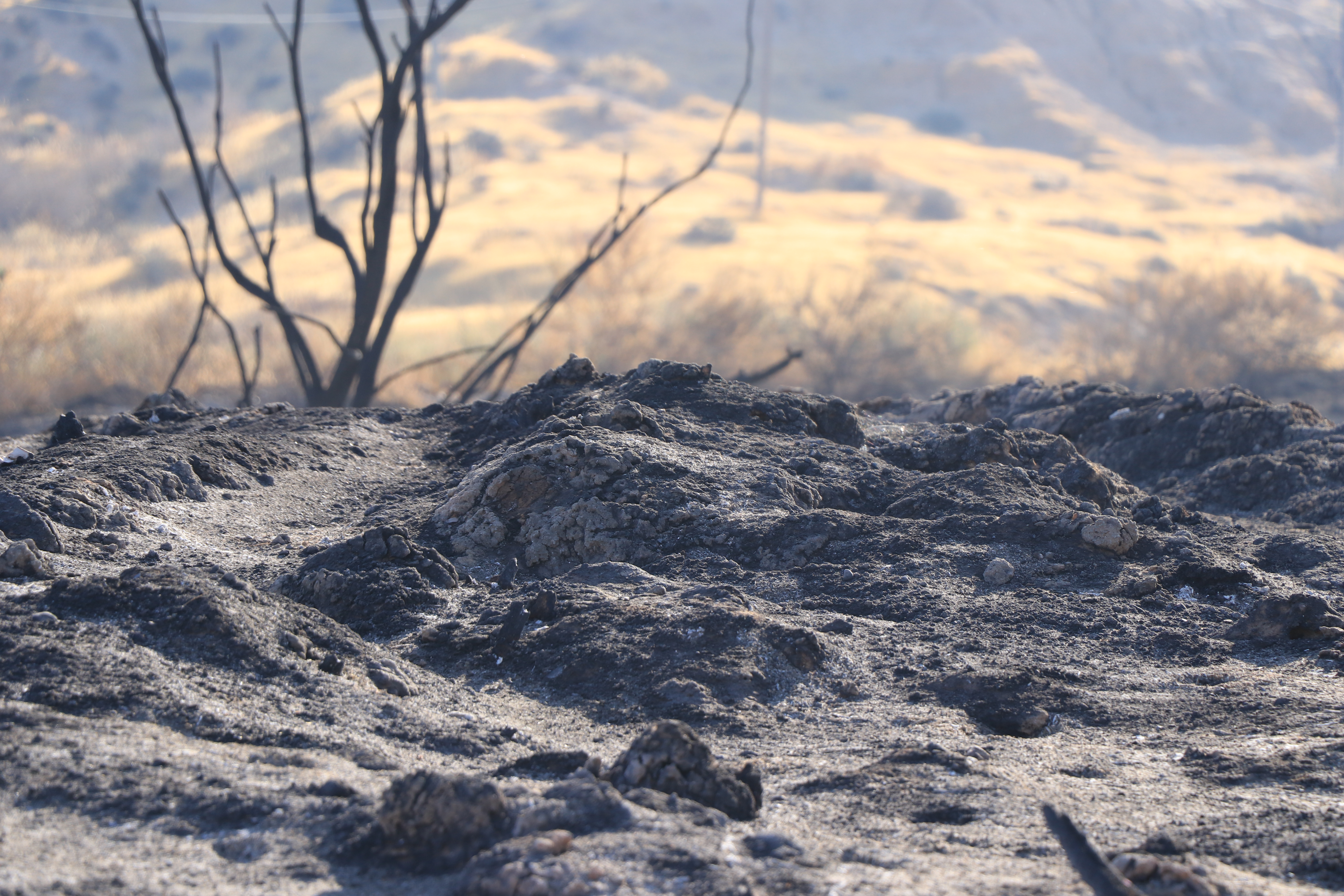 Aya Chaya Altman (Talmi Yosef), Desert Winter, 2024, digital photograph printed on fine art paper, 80x120 cm